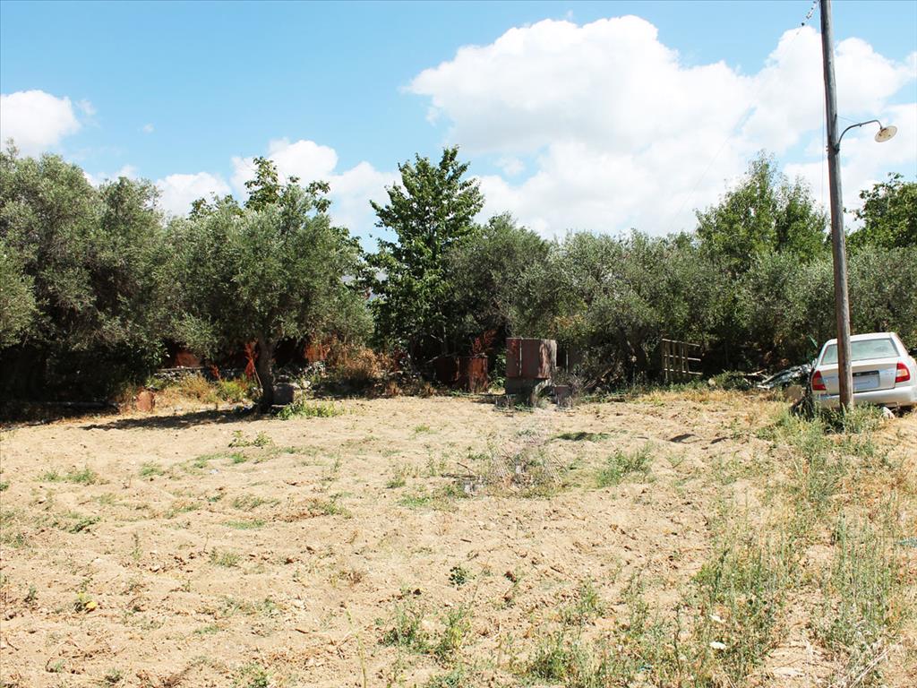 Продажа - Земельный участок 485 m² на Крите