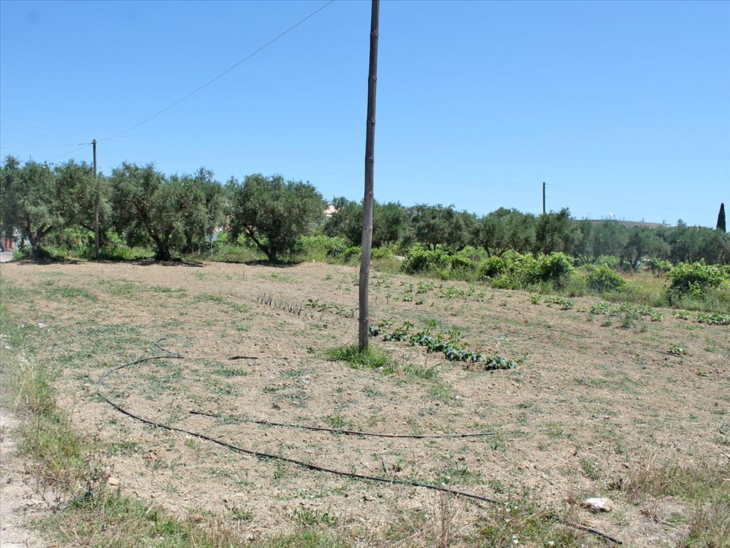 Продажа - Земельный участок 700 m² о. Закинф