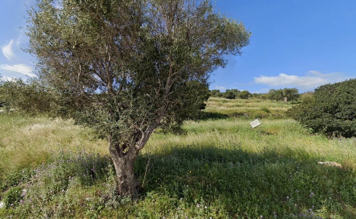 Продажа - Земельный участок 4150 m² о. Закинф