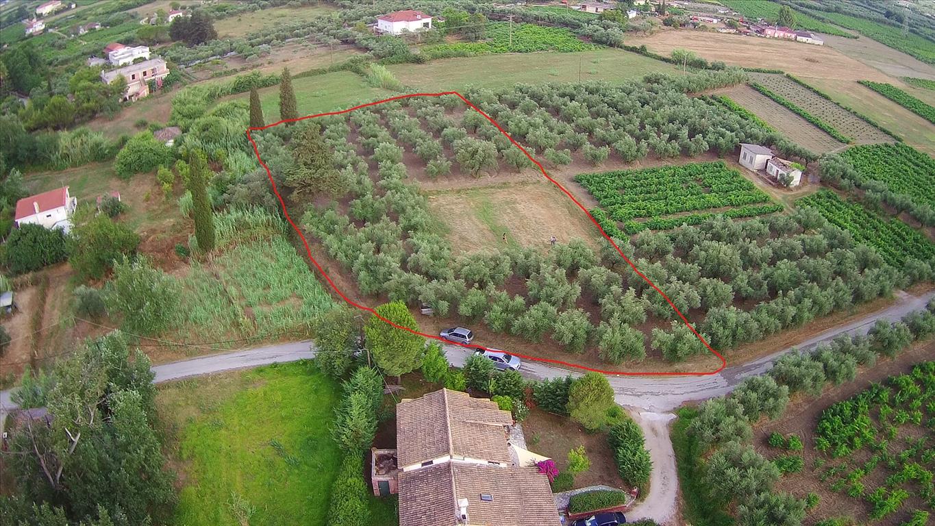 Продажа - Земельный участок 3348 m² о. Закинф