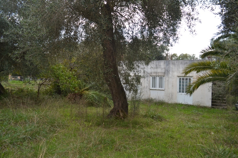 Продажа - Коттедж 90 m² на о. Корфу