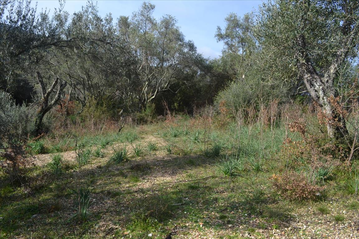 Продажа - Земельный участок 4930 m² на о. Корфу