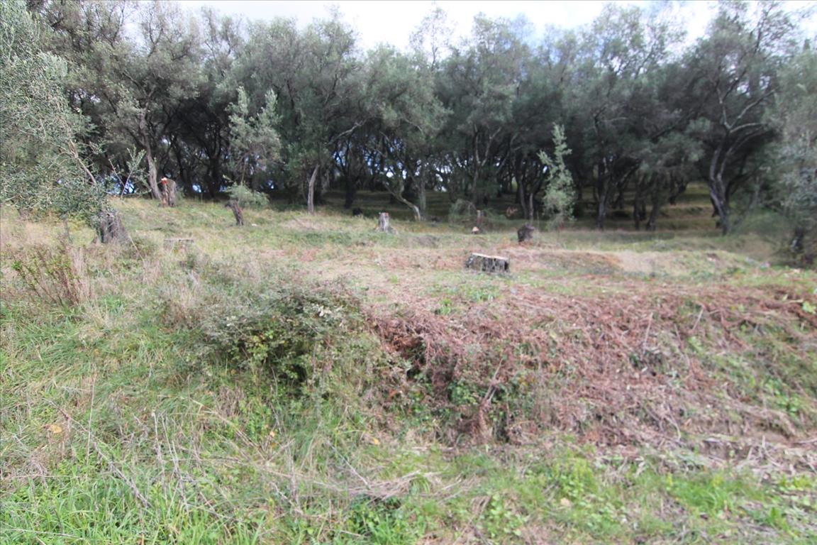 Продажа - Земельный участок 893 m² на о. Корфу
