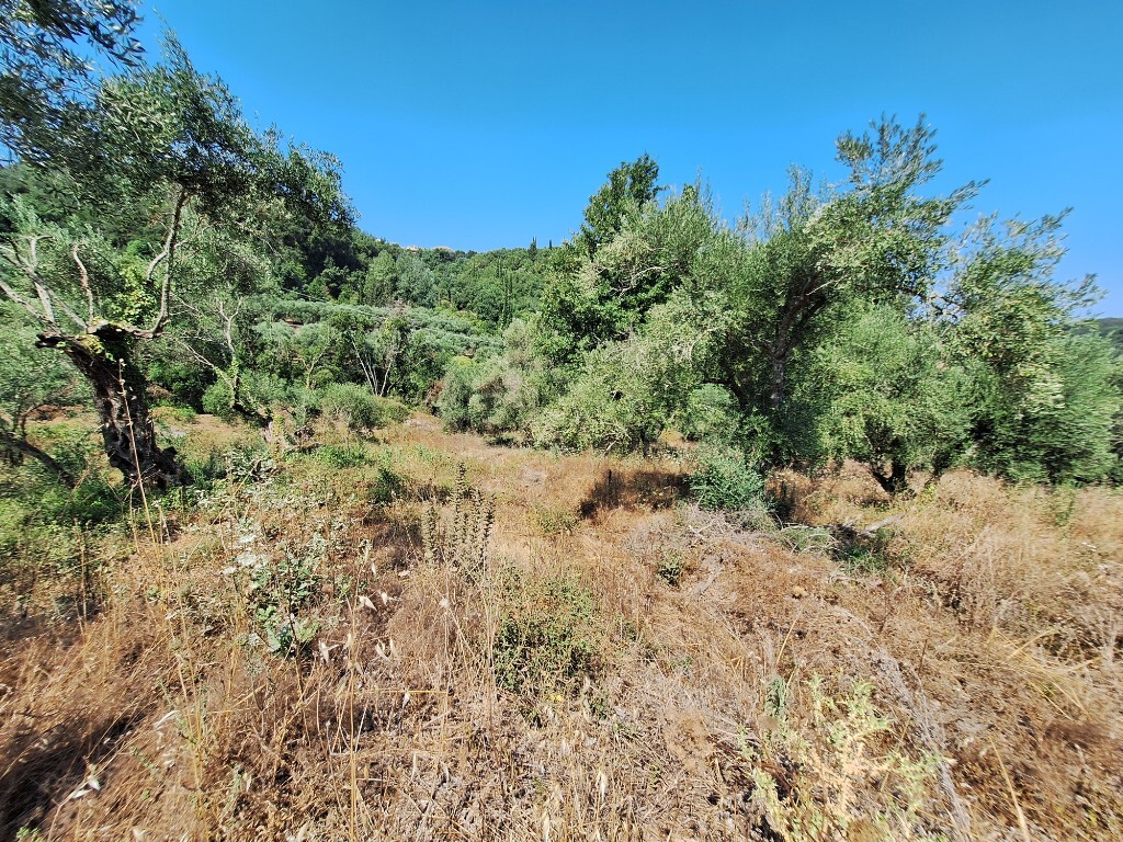 Продажа - Земельный участок 2564 m² на о. Корфу