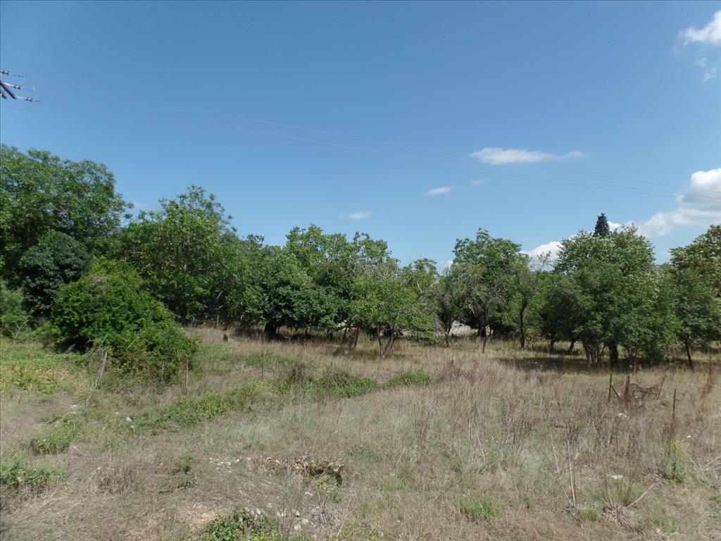 Продажа - Земельный участок 4000 m² на о. Корфу