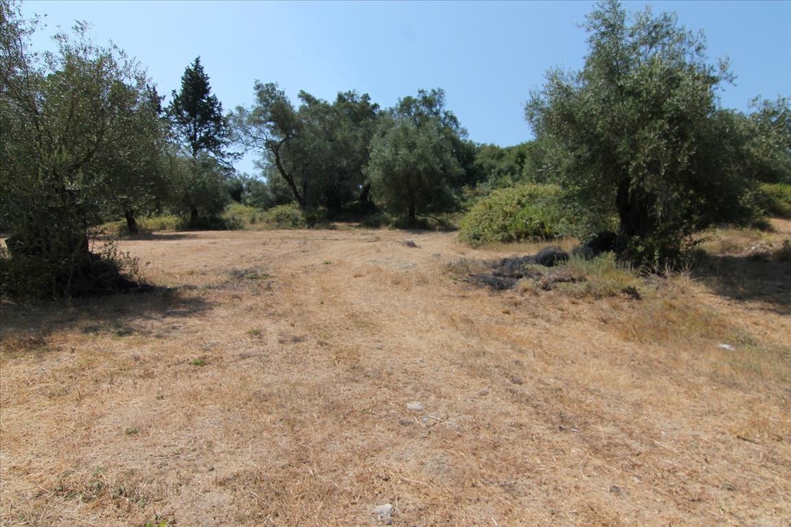 Продажа - Земельный участок 4500 m² на о. Корфу
