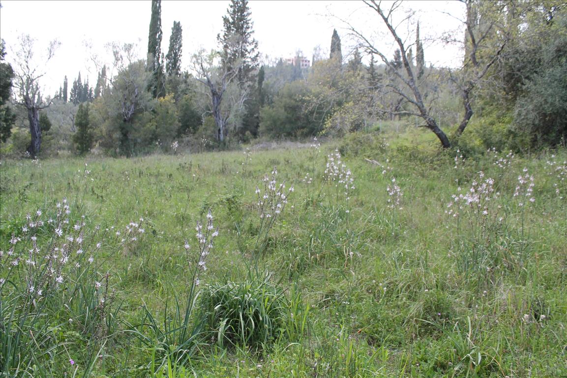 Продажа - Земельный участок 1300 m² на о. Корфу