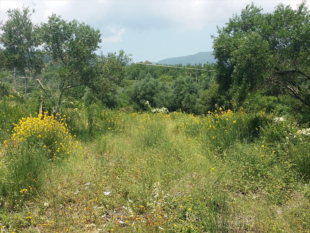 Продажа - Земельный участок 2770 m² на о. Корфу