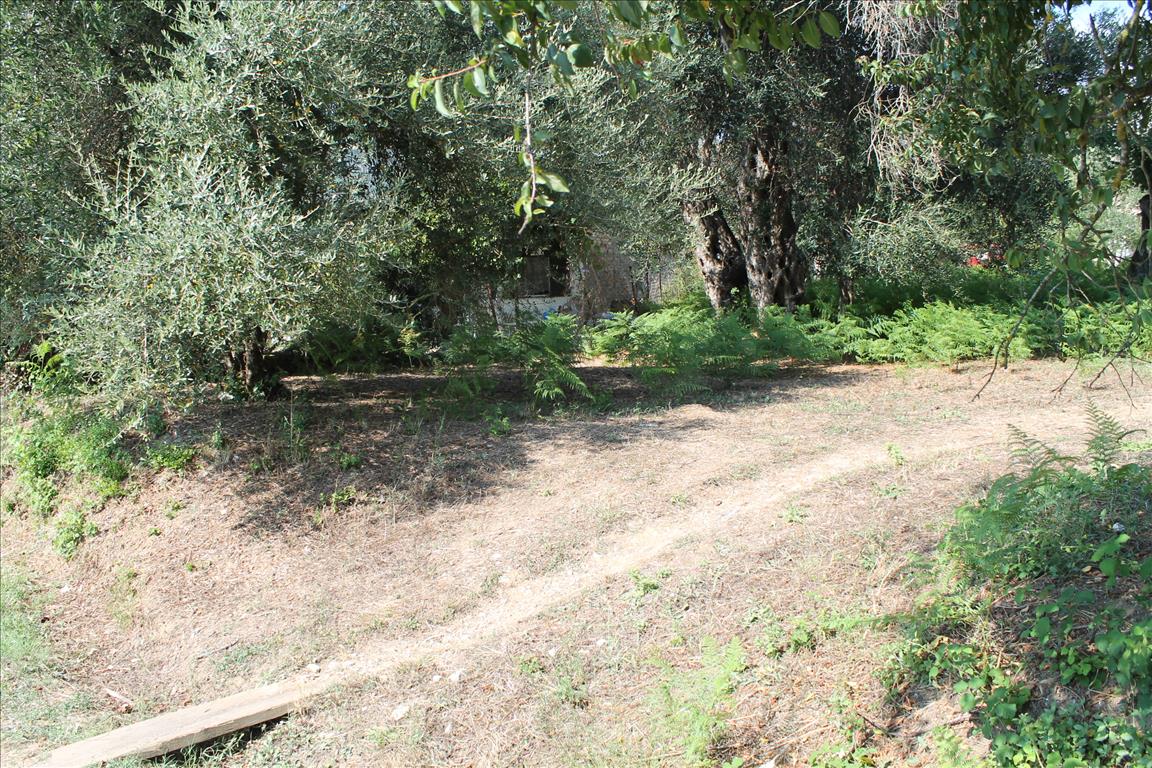 Продажа - Земельный участок 650 m² на о. Корфу