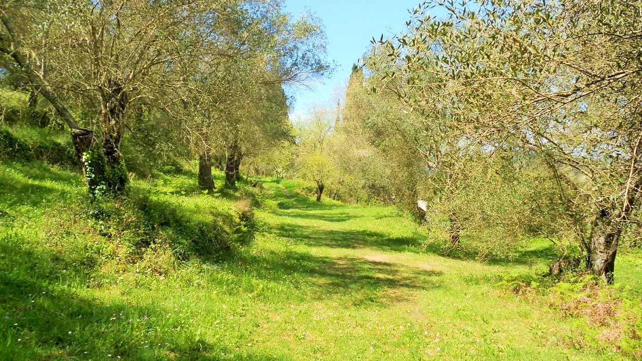 Продажа - Земельный участок 10500 m² на о. Корфу
