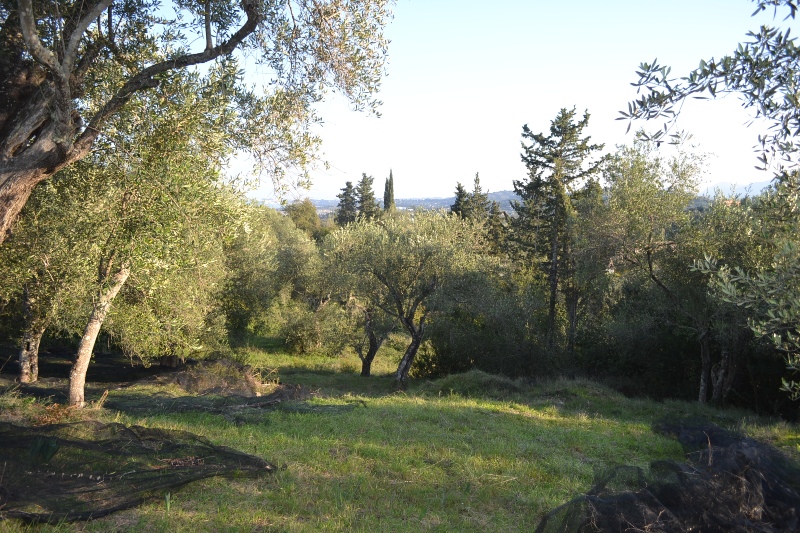 Продажа - Земельный участок 8253 m² на о. Корфу