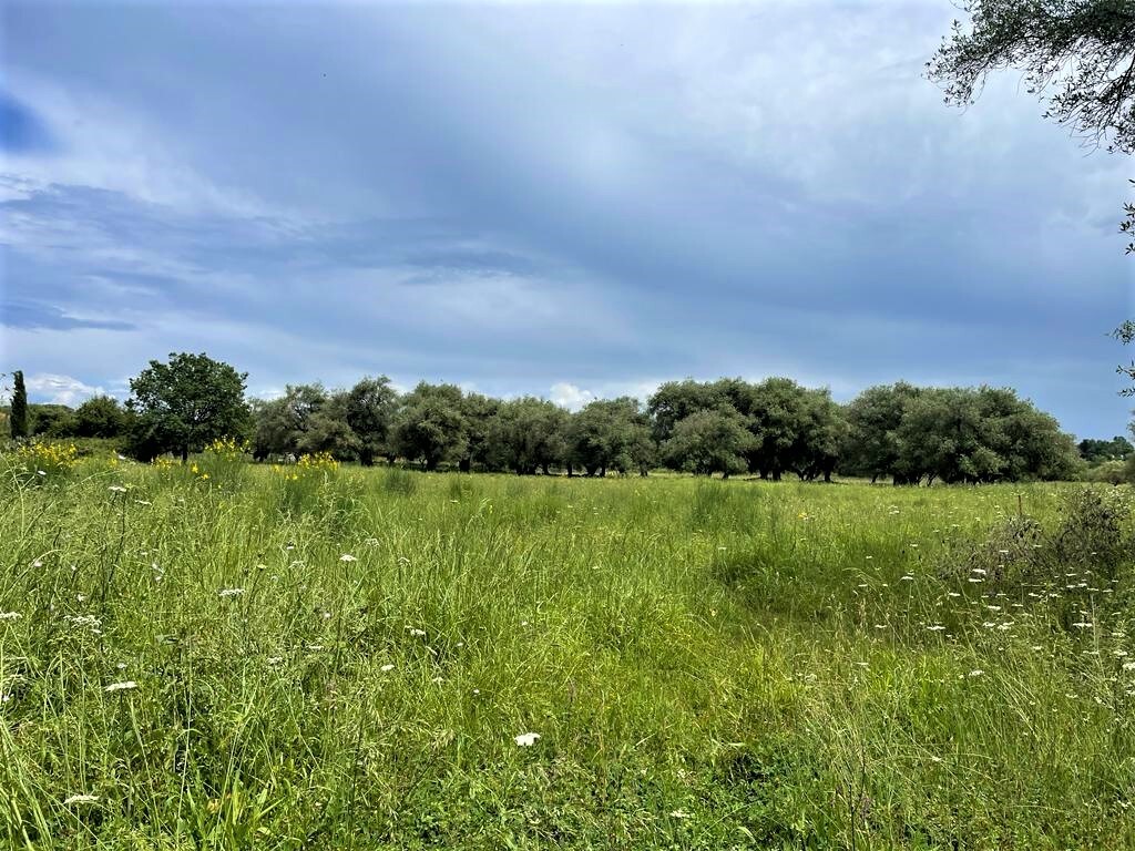Продажа - Земельный участок 4000 m² на о. Корфу