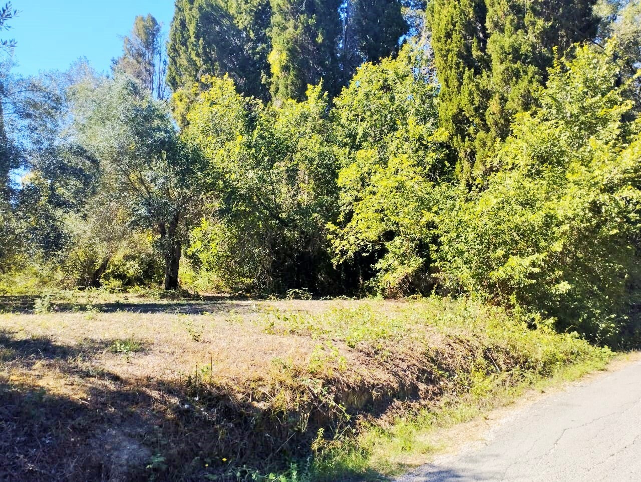 Продажа - Земельный участок 2200 m² на о. Корфу