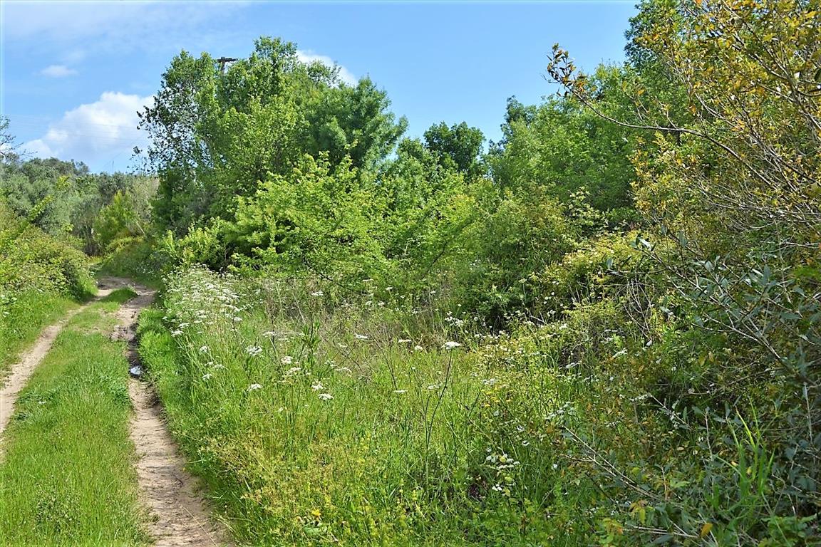 Продажа - Земельный участок 4000 m² на о. Корфу
