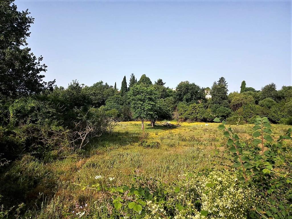 Продажа - Земельный участок 2100 m² на о. Корфу