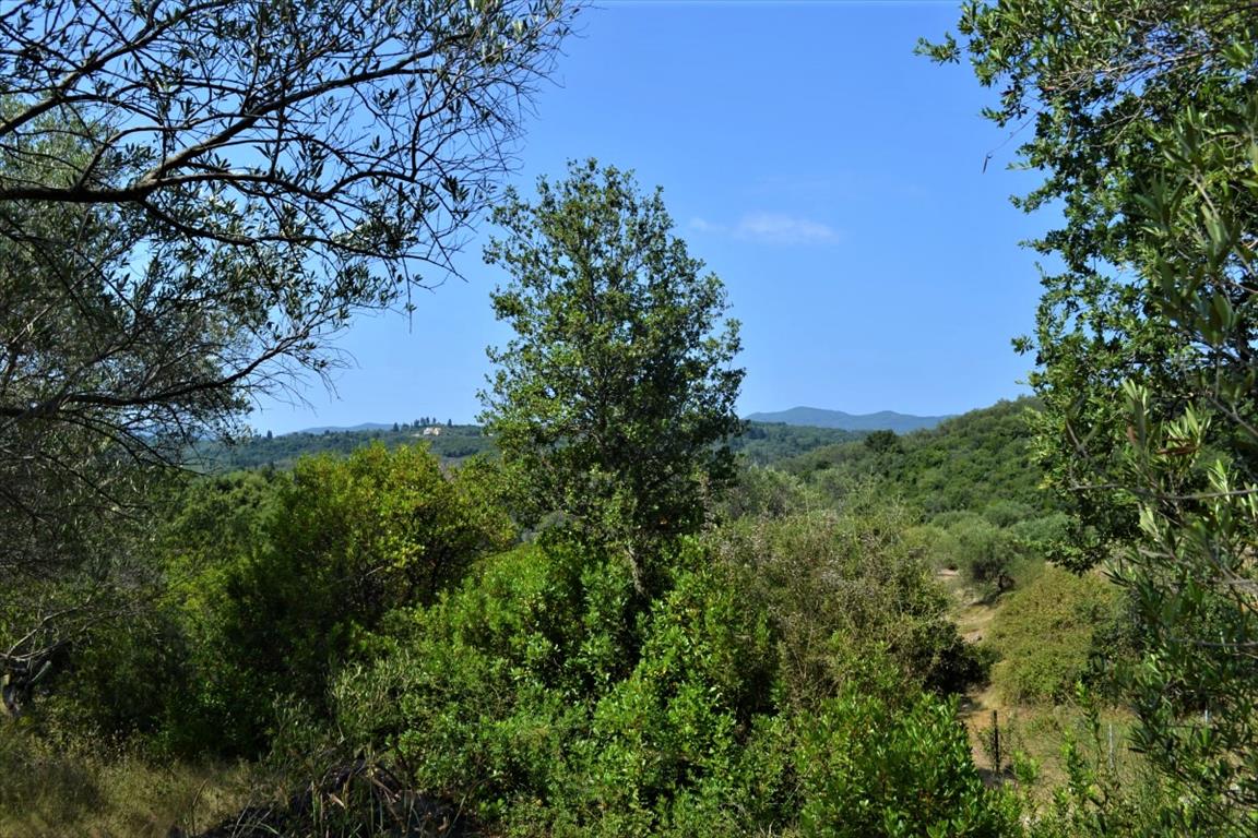 Продажа - Земельный участок 2650 m² на о. Корфу