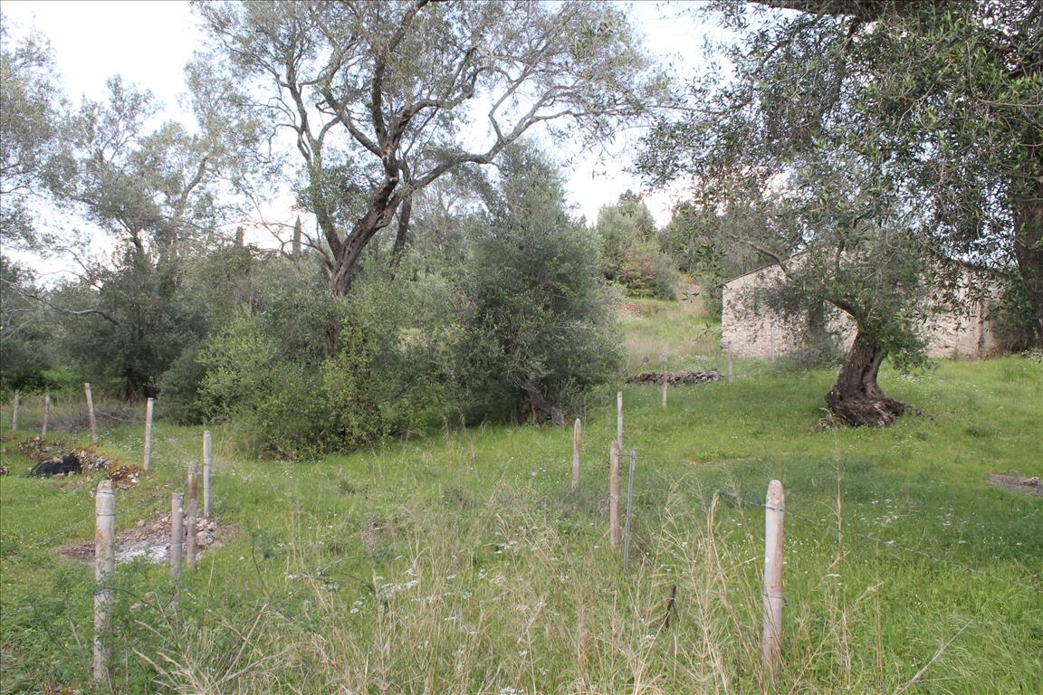 Продажа - Земельный участок 4300 m² на о. Корфу