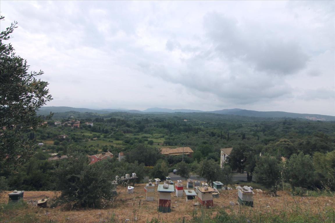 Продажа - Земельный участок 3700 m² на о. Корфу