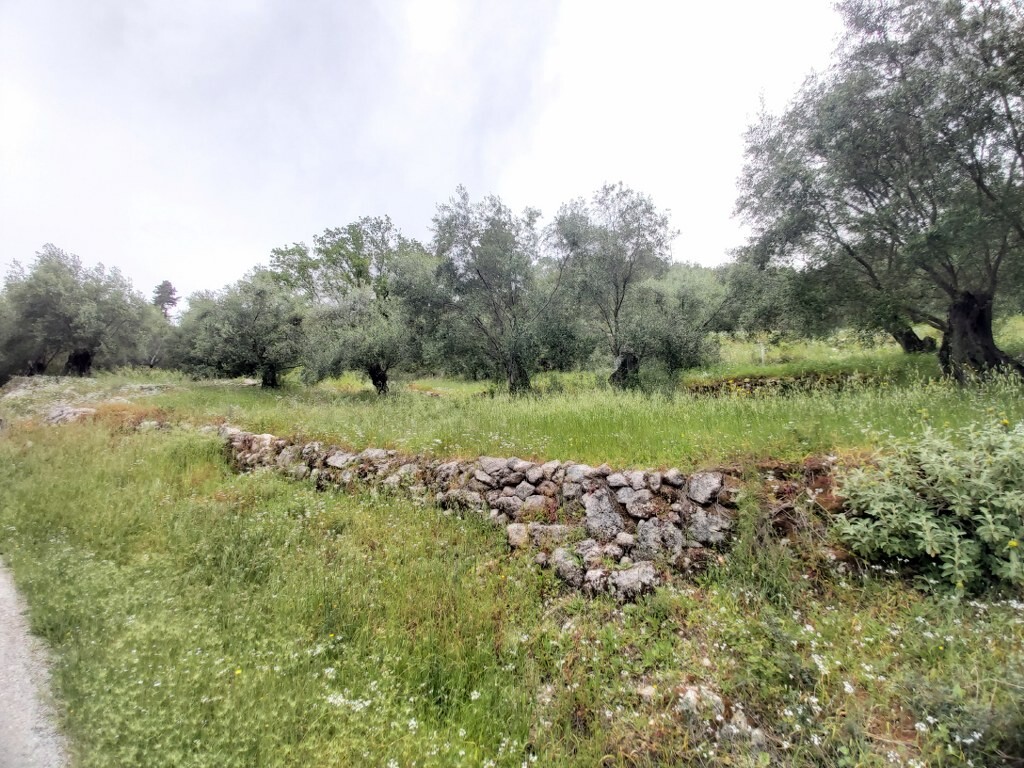 Продажа - Земельный участок 1120 m² на о. Корфу