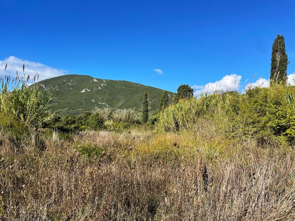 Продажа - Земельный участок 3200 m² на о. Корфу