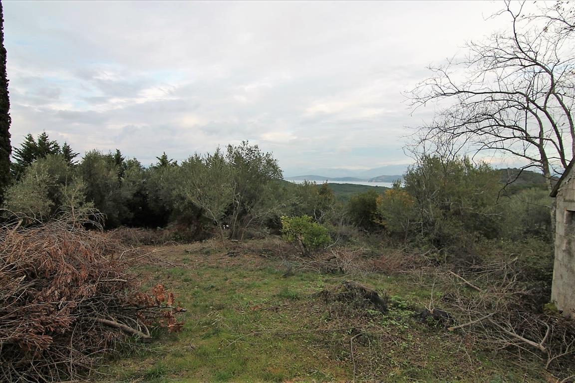 Продажа - Земельный участок 5500 m² на о. Корфу
