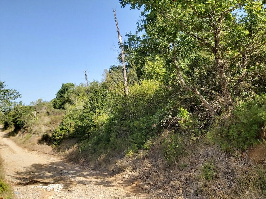 Продажа - Земельный участок 2300 m² на о. Корфу
