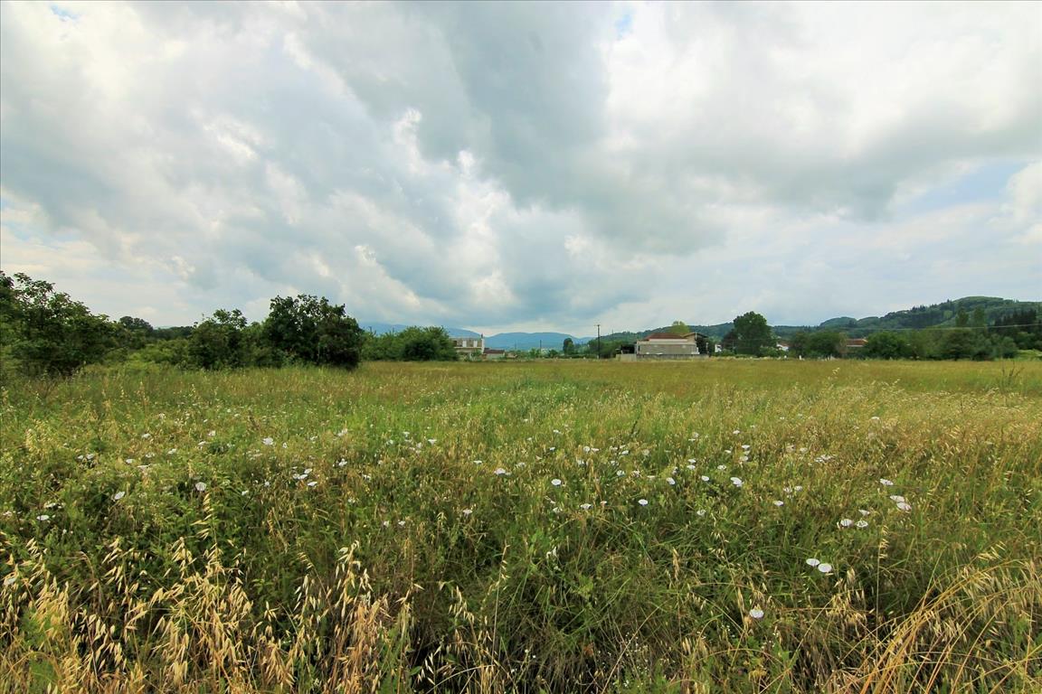 Продажа - Земельный участок 2300 m² на о. Корфу