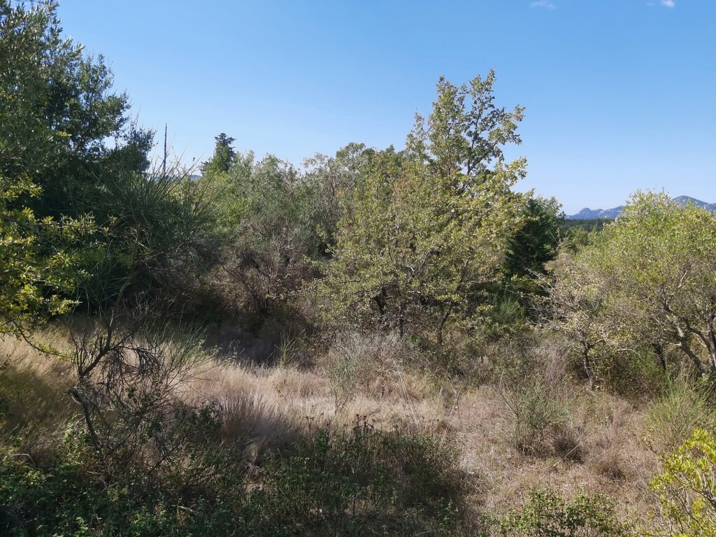 Продажа - Земельный участок 58000 m² на о. Корфу