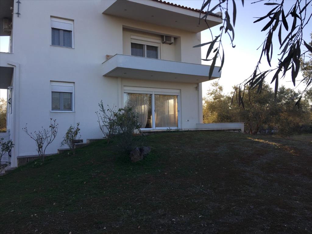 Продажа - Коттедж 320 m² Эвия