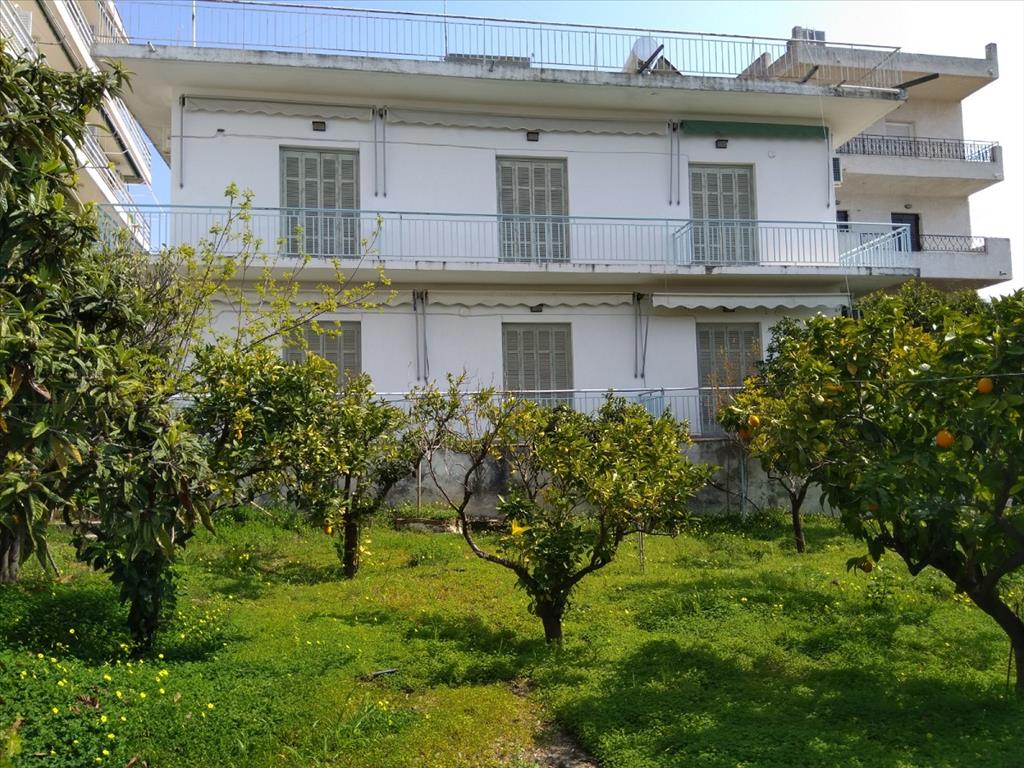 Продажа - Гостиница 390 m² Эвия