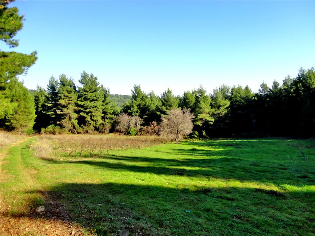 Продажа - Земельный участок 111500 m² Эвия