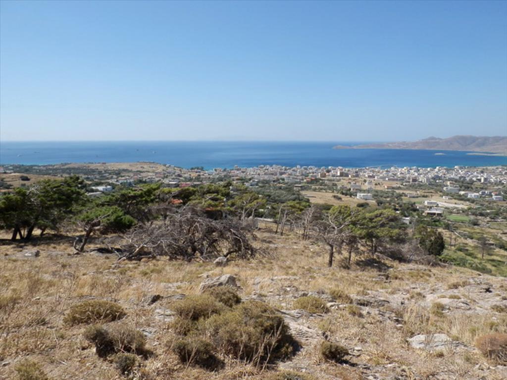 Продажа - Земельный участок 42000 m² Эвия