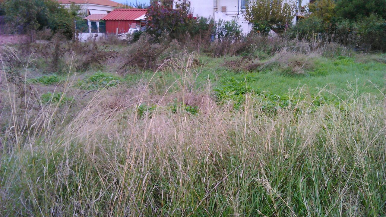 Продажа - Земельный участок 500 m² Эвия