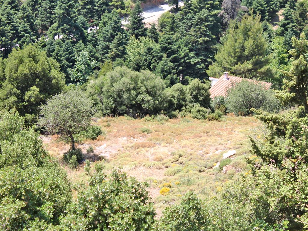 Продажа - Земельный участок 5500 m² Эвия