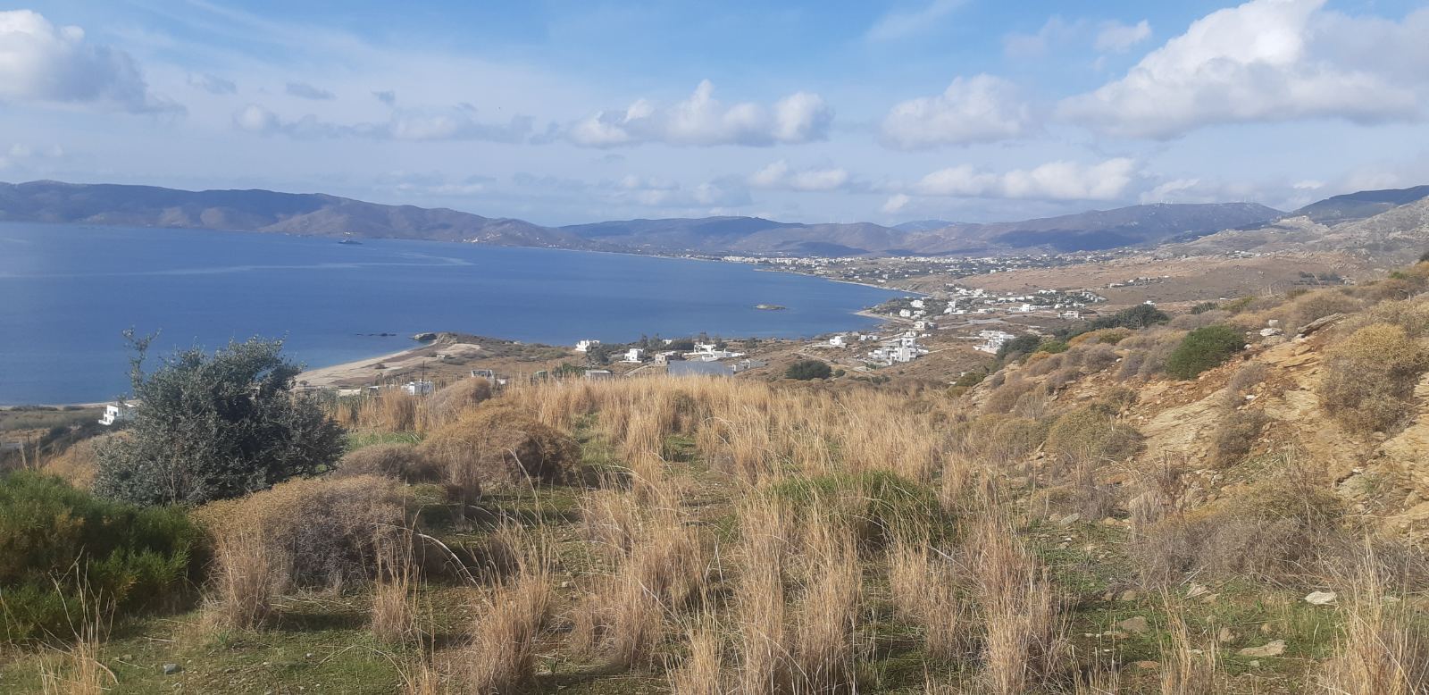 Продажа - Земельный участок 445 m² Эвия