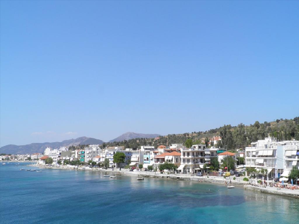 Продажа - Земельный участок 30000 m² Эвия