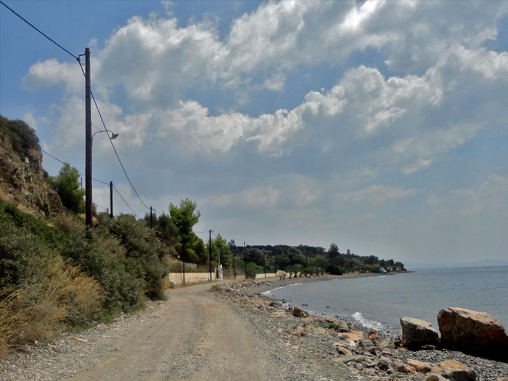 Продажа - Земельный участок 6500 m² Эвия